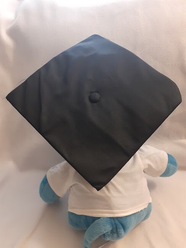 UB Bulls Victor E Bull Mascot Plush Stuffed Animal University Buffalo Graduation - Picture 3 of 4