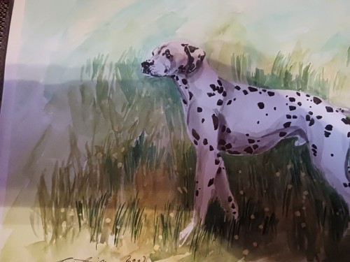 Dalmatian Dalmation Painting by Campean 2002 Romania Kennel AKC Dog Puppy Brasov - Picture 5 of 8