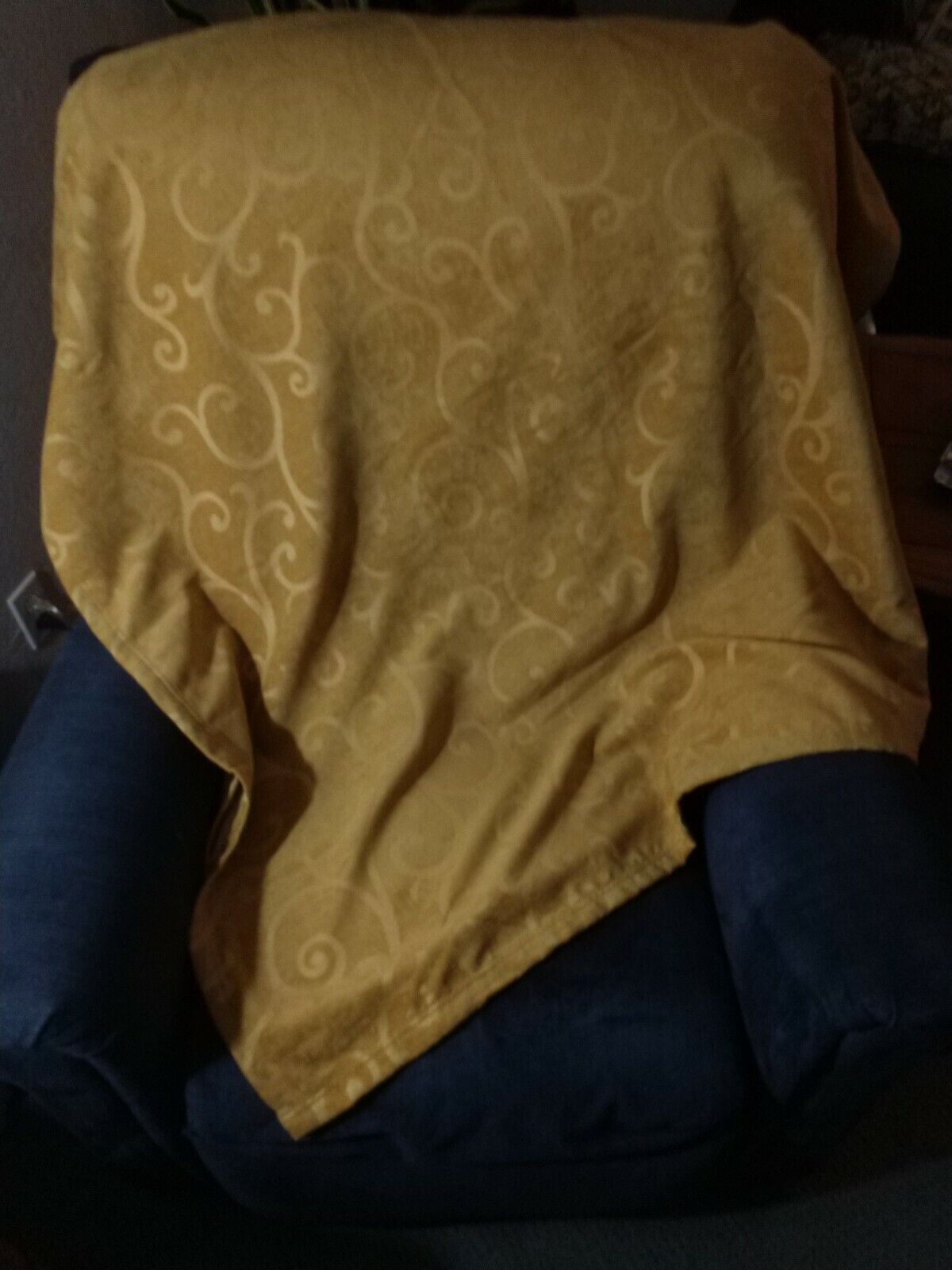Picture 5 of 12