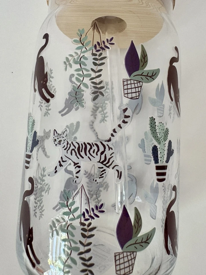 10 Strawberry Street «Кошки» 15 унций стеклянный стакан бамбуковая крышка и солома новый с Ярлыками! - Изображение 3 из 4