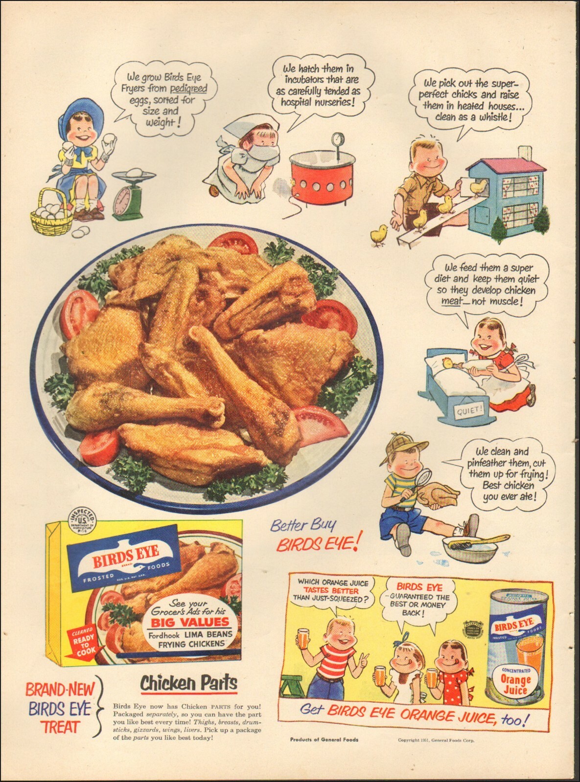 1951 Vintage ad for Birds Eye Frosted Food Art Cartoon Chicken 100819