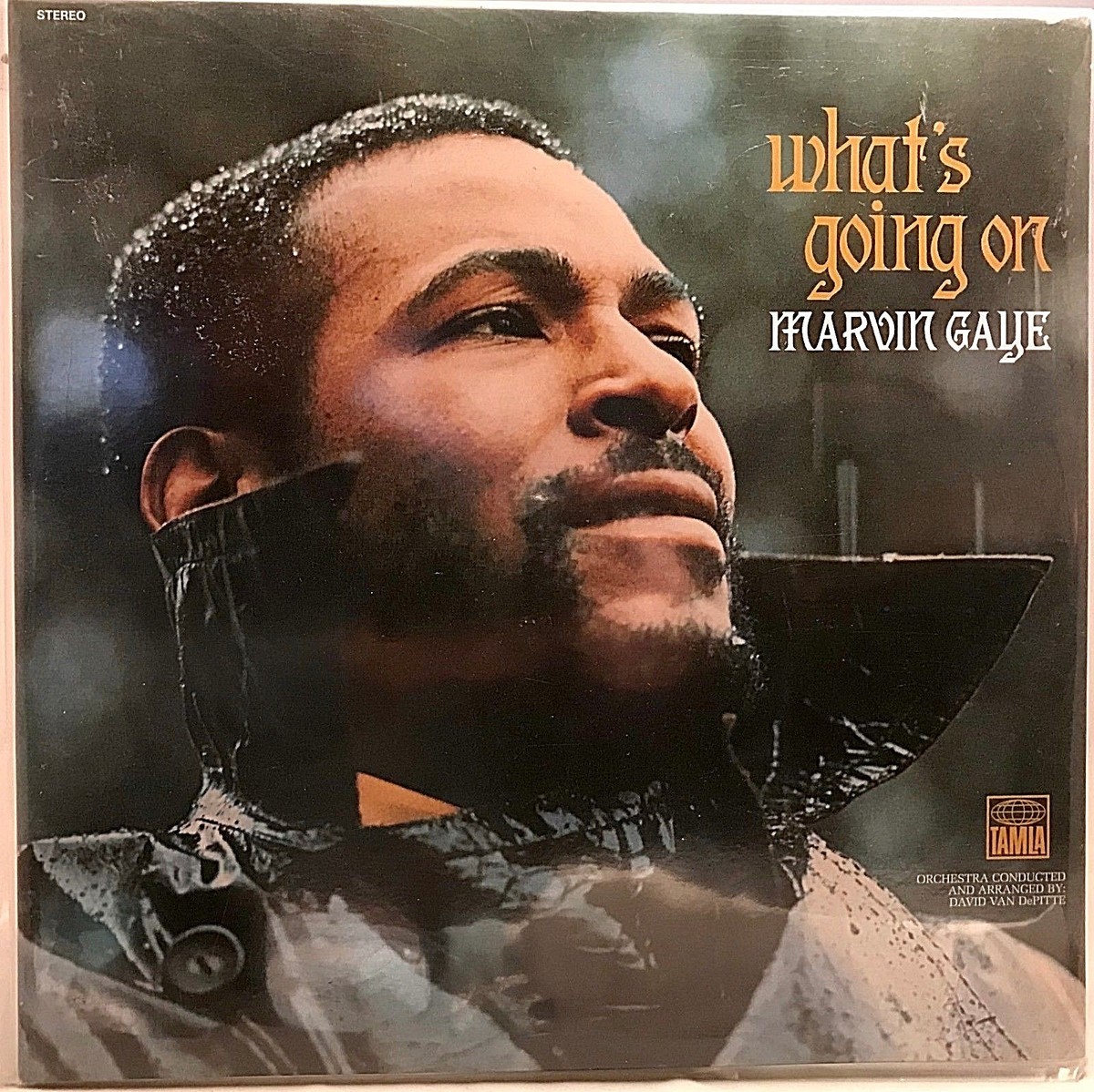 MARVIN GAYE 