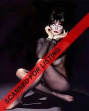 ELVIRA Mistress of Dark Cassandra Peterson in body stocking 8X10 PHOTO #9180