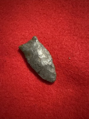 1 5/8 Inch Beaver Lake Paleo Washington Co Kentucky Davis Coa Ex Mathews 