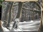 Bild 6 von 8