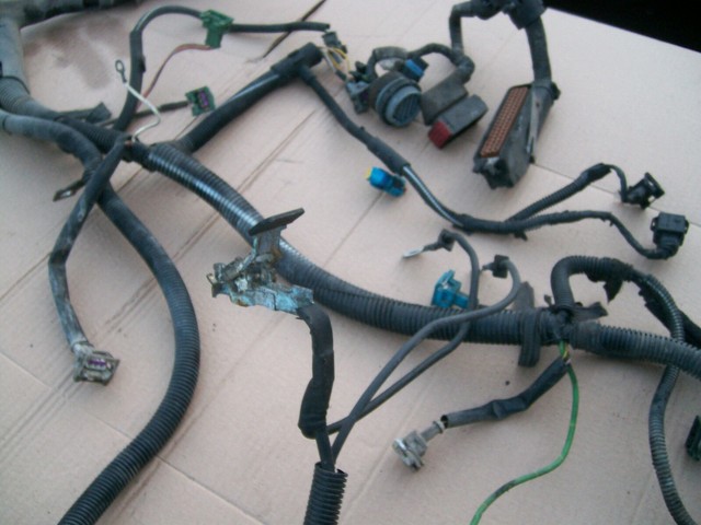 PEUGEOT 206 ENGINE BAY WIRING LOOM PLUGS BATTERY CABLE OFF 1999 YEAR