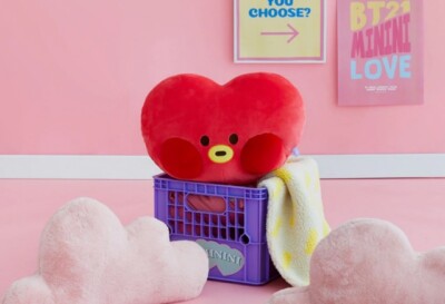 BT21 TATA minini Big Head Cushion BTS Face Pillow Plushie Official