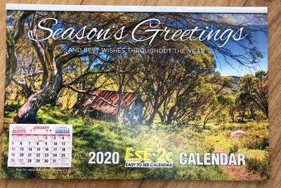 2 X Allen’s EsE-2C Calendar 2020 - Easy to See A4 Wall Calendar Big