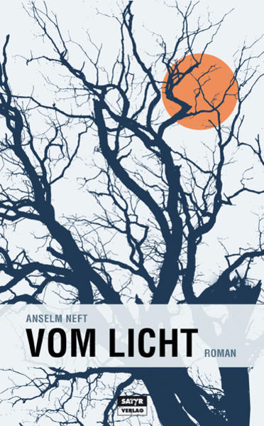 Thumbnail - Vom Licht | Anselm Neft | 2016 | Deutsch