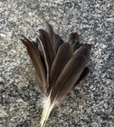 Bild 3 von 6