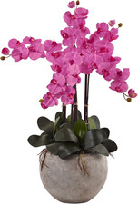 Pink Phalaenopsis Orchid Silk Arrangement in Sand Bowl -