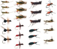 Terrestrial Trout Fly Fishing Flies Collection: 23 Flies + Fly Box on sale Terrestrial Trout Fly Fishing Flies Collection: 23 Flies + Fly Box on sale