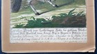 Foto 10 di 22