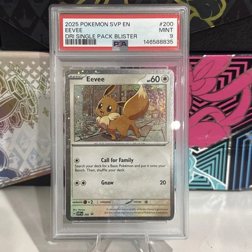Pokémon TCG Eevee PSA 9 SVP200 Scarlet & Violet Black Star Promo Destined Rivals