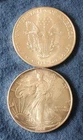 1994 American Silver Eagle BU 1$
