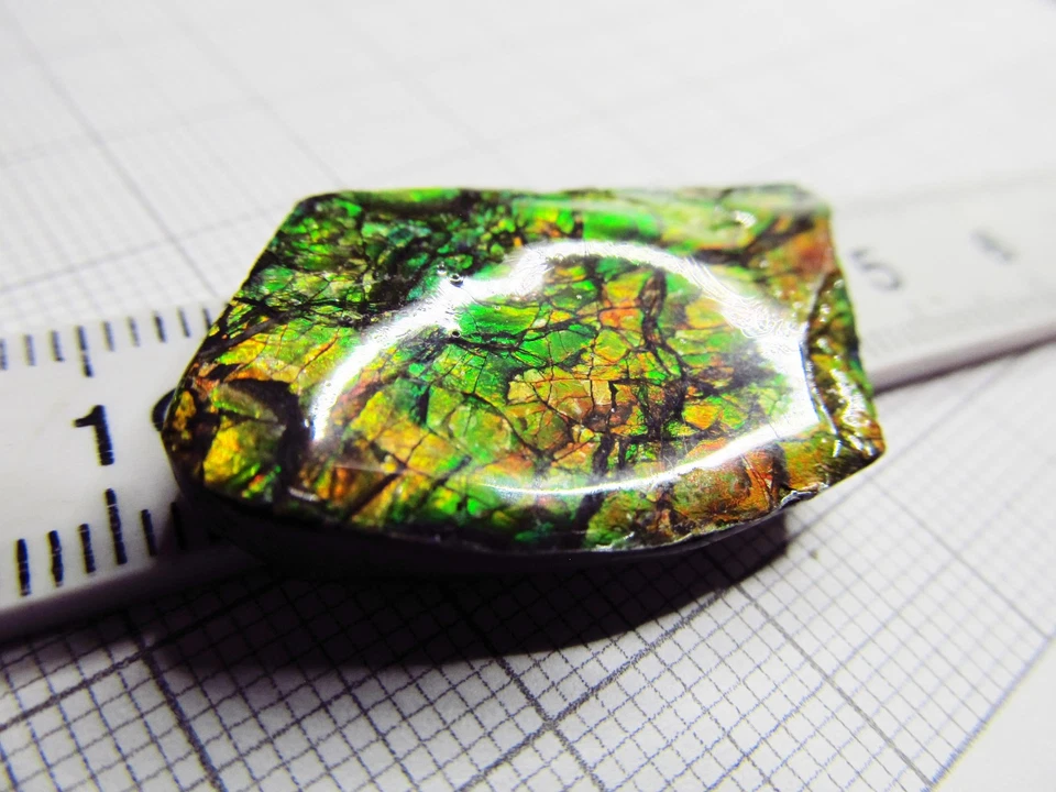 Ammolit, Ammolith, Ammolite Kanada, Maße ca. 28 x 19 x 4,5 mm, Gewicht 25,8 ct! - Bild 3 von 4