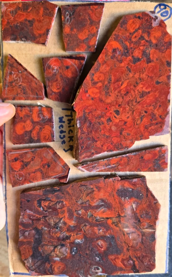 Mary Ellen Stromatolite Jaspe Rojo (2) Losas, (7) Preformas de Cabujón, Plano 90 Foto 2 de 4