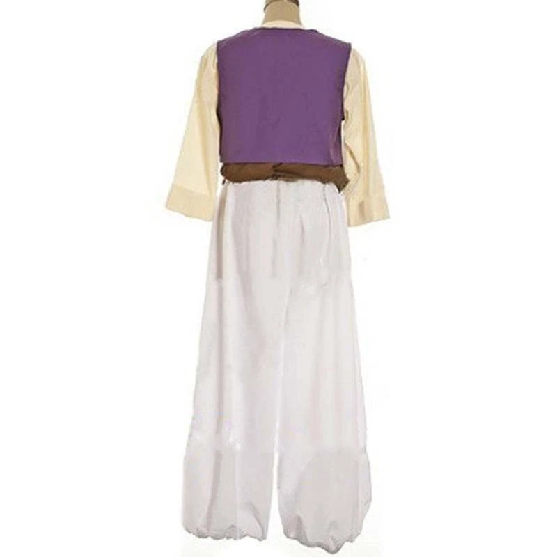 Men's Adult Arabian Prince Aladdin Genie Fancy Dress Roleplay Costume Outfits - Photo 4/4