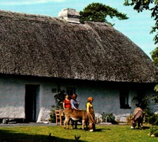 Vintage Postcard Thatched Cottage Bunratty Folk Park County Clare Ireland Cows