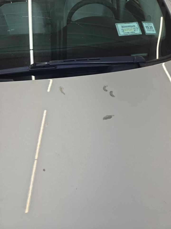 Used Hood fits: 2011 Chevrolet Impala  Grade C Foto 2 de 4