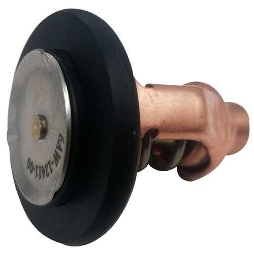 Thermostat for Yamaha F LF 300 350 A B C HP Outboard Motors 6AW-12411-00 - Foto 3 di 4