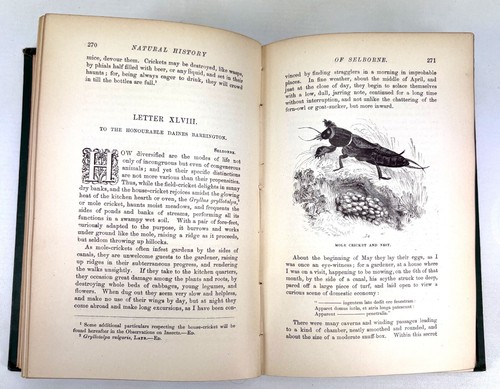 The Natural History of Selborne, Gilbert White, Thomas Bewick, Swan Sonn., 1891 - Picture 10 of 10