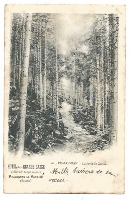 73 PRALOGNAN LA FORET DE ZERTAN