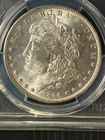 1884-O  MS63 Morgan Dollar, PCGS 82976414