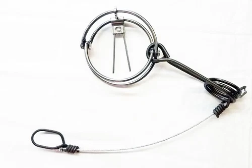160 RBG 6.0 RBG Bodygrip Traps Trapping Survival Trap Rat Trap