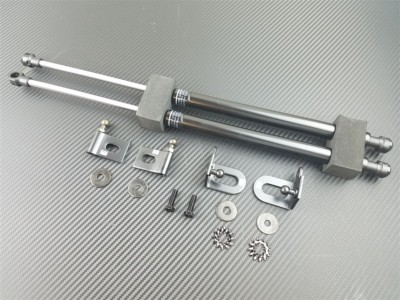 P2M Engine Hood Dampers for Mitsubishi Evolution X 10 Carbon Series Evo
