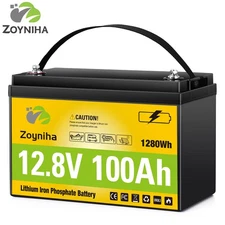 LiFePO4 Lithium Iron Phosphate Battery 12V 100Ah 15000 Cycles RV Solar Off-grid 