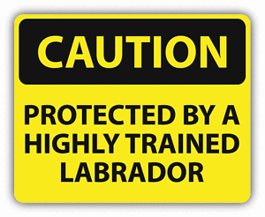 ''SIZES" Danger Protected By A Highly Trained Labrador Slogan Sticker Decal
