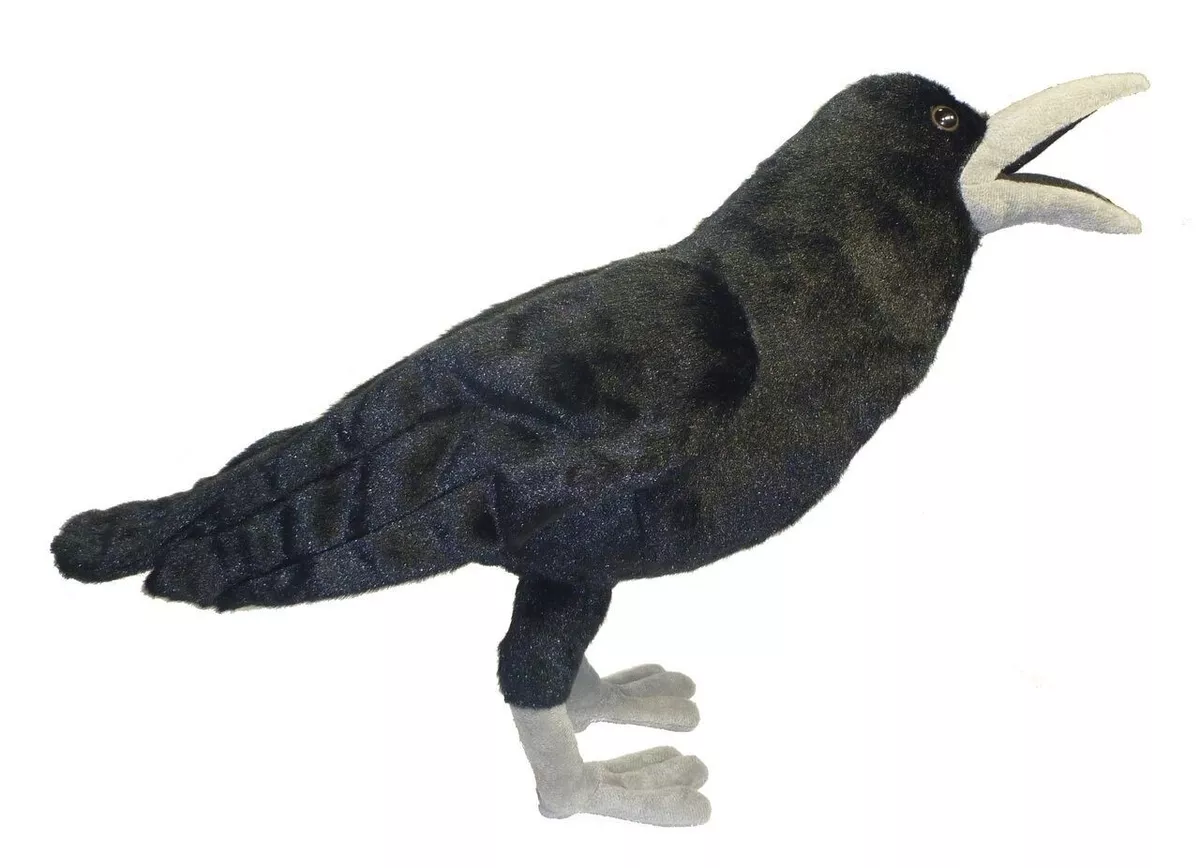 raven plush