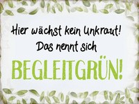 Holzschild 30X40 Cm WäChst Kein Unkraut BegleitgrüN Deko Geschenk Holz Schild