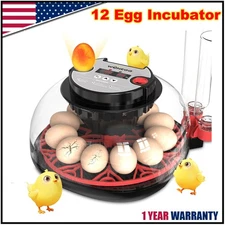 Automatic Egg Incubator for Hatching Eggs: Egg Incubator with Automatic Egg Turn