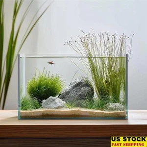 3 Gallon Glass Fish Tank Easy to Maintain Small Aquarium for Betta Goldfish