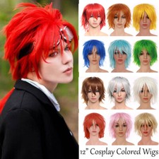 Male Cosplay Wig Women/Men Anime Short Wig Party Straight Hair Cosplay Full Wigs