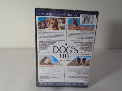 希少 DOG FIGHT FINAL MAYBE TOMORROW DVD 希少 DOG FIGHT FINAL MAYBE TOMORROW DVD