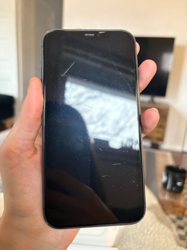 Pack Apple iPhone 11 - 64 Go - (Désimlocké) avec accessoires (Toronto, CA) - Photo 3 sur 3