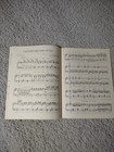 Picture 5 of 8