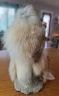 Foto 7 di 19