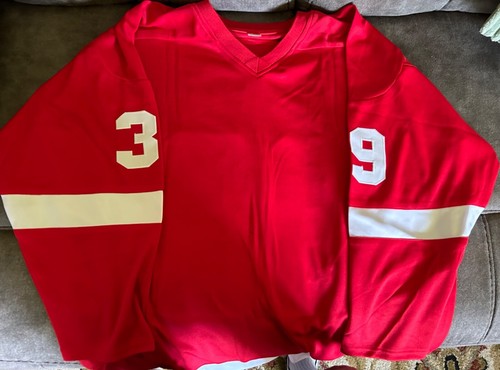 Dominik Hasek signed Custom jersey Detroit Red Wings JSA - Picture 2 of 2