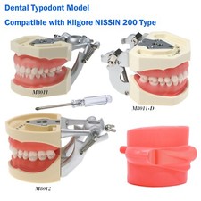 US Kilgore NISSIN 200 Type Dental Typodont Model With Metal Bracket Removable