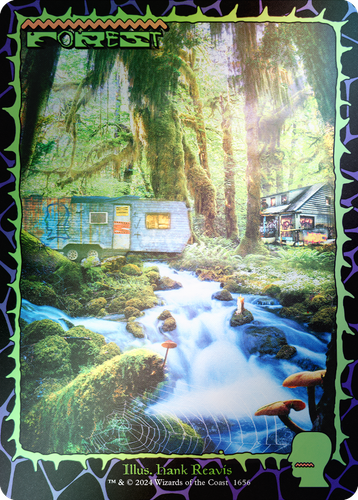 Magic the Gathering MTG Secret Lair x Brain Dead: Lands (Foil) - Picture 11 of 11
