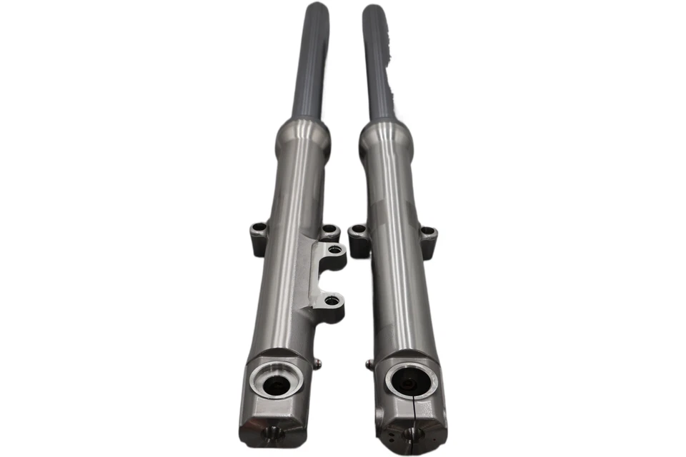 45400041 45400042 NUEVO OEM 2012-2013 HARLEY-DAVIDSON XL1200V PAR DE HORQUILLAS SPORTSTER Foto 3 de 4