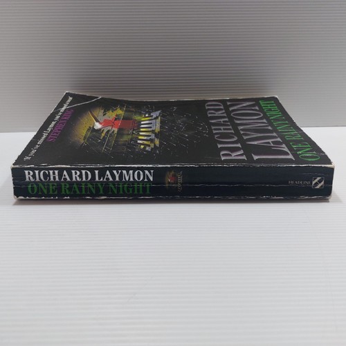 One Rainy Night by Richard Laymon Large Paperback Horror vintage 1991 - Foto 6 di 11