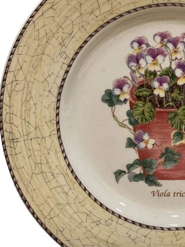 2- WEDGWOOD Sarah’s Garden Salad /lunchPlates Yellow Queen’s Ware VIOLAS - Picture 3 of 4