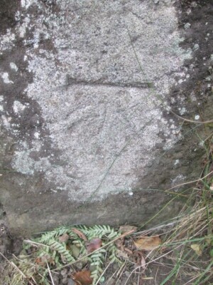 Foto 6x4 Ordnance Survey Schnittmarke Bedwlwyn\/SJ2236 Diese OS Schnittmarke Dose c2015