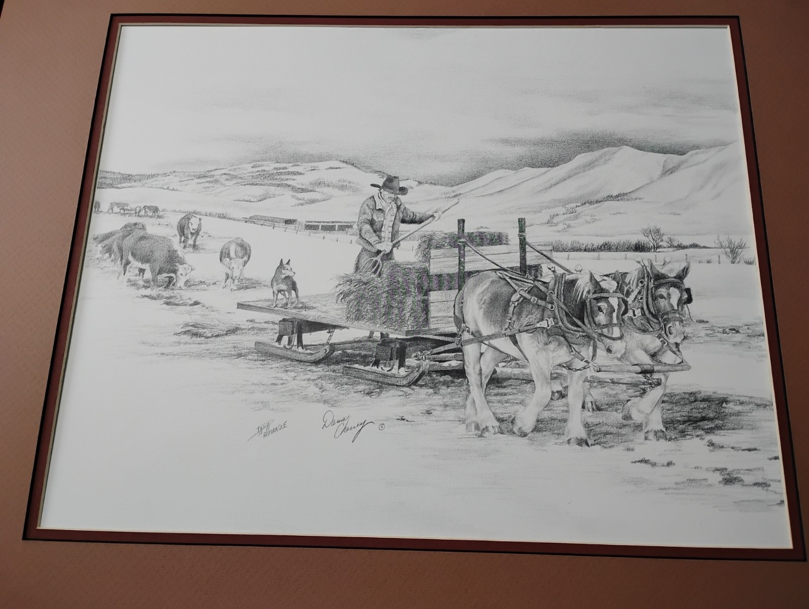 Picture 1 of 19