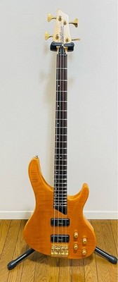 Washburn KW-1250 Kip Winger Bass Guitar Used, Tested, Slight Wear